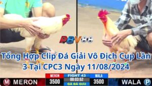 Tổng Hợp Clip Đá Giải Vô Địch Cup Lần 3 Tại CPC3 Ngày 11/08/2024